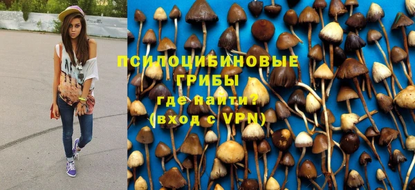 гашик Балабаново