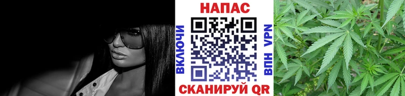 наркошоп  Кировск  кракен вход  Канабис сатива 